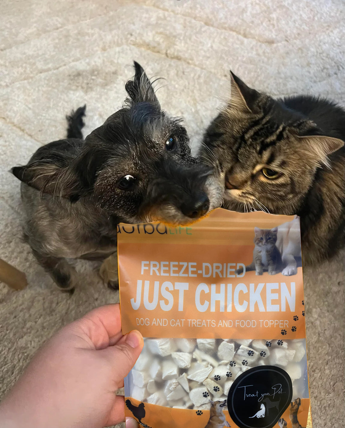 Just Chicken Freeze-Dried Dog & Cat Treats Food Topper 2oz (57g) Single Ingredient - Chicken